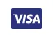 Payment Visa Card